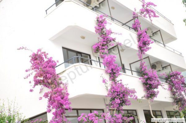 Neptün Butik Hotel