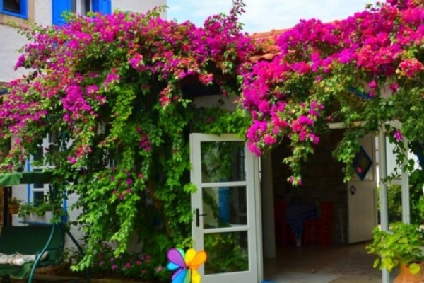 Nish Hotel Alaçatı
