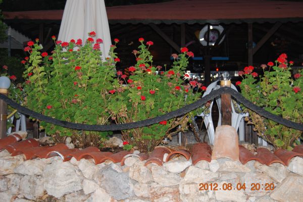 Nuri's Beach Bungalow