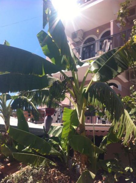 Og-Erim Otel