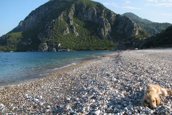 Olimpos Nar Pansiyon