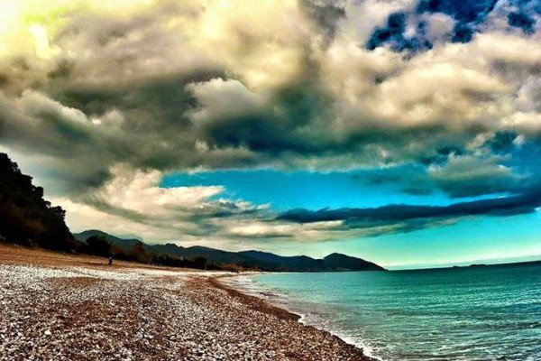 Olimpos Nar Pansiyon