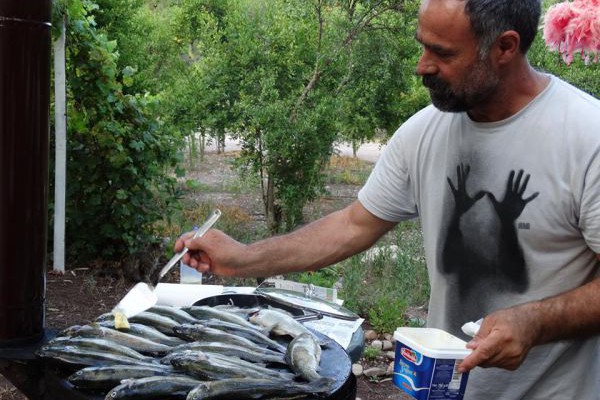 Olimpos Nar Pansiyon