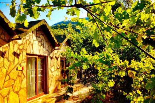 Olimpos Nar Pansiyon