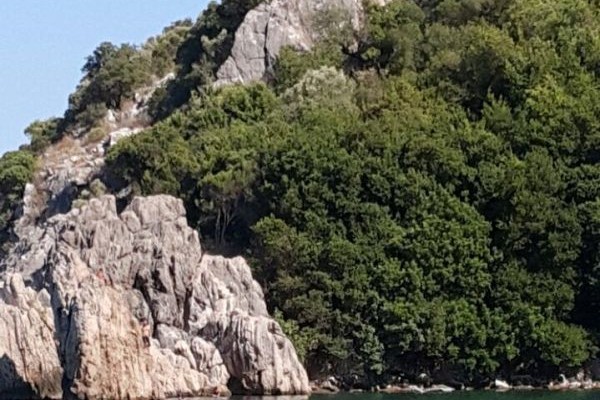 Olympos Baykuş Lodge