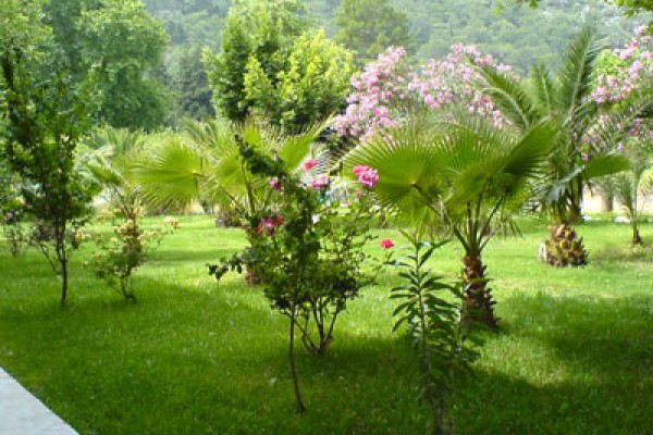 Olympos Yavuz Hotel