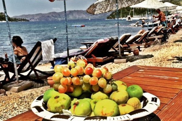 Orhaniye İncir Bungolows & Restaurant