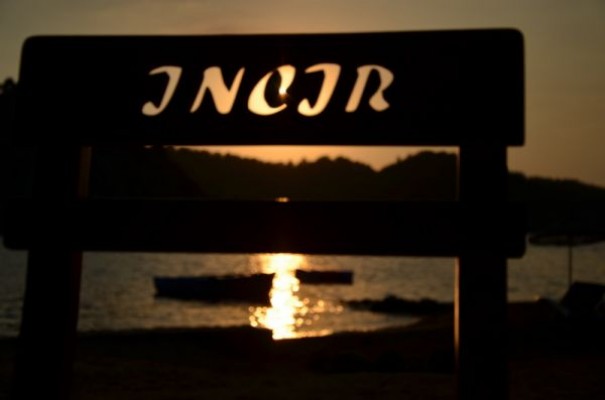 Orhaniye İncir Bungolows & Restaurant