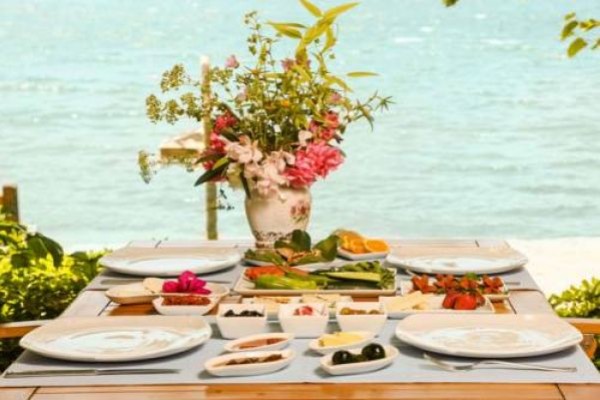 Orhaniye İncir Bungolows & Restaurant