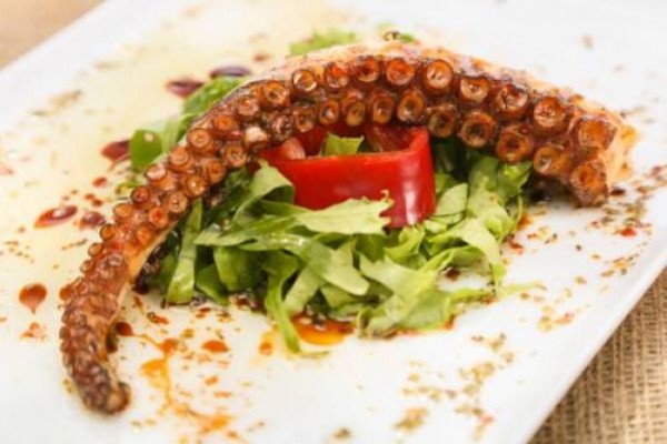 Orhaniye İncir Bungolows & Restaurant