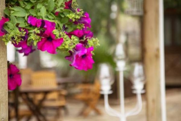 Orhaniye İncir Bungolows & Restaurant