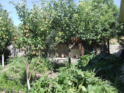 Otel Club Şato