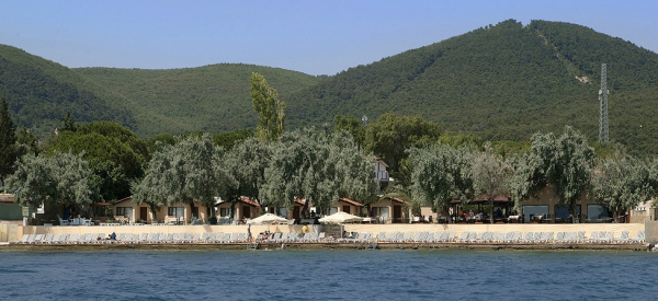 Palm Motel & Beach Club