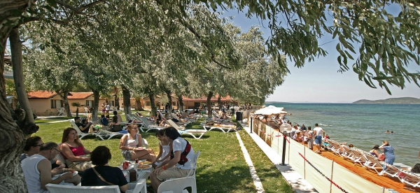 Palm Motel & Beach Club