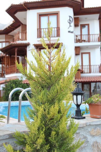 Palmiss Apart Otel