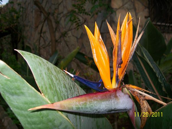 Paradise Garden Hotel