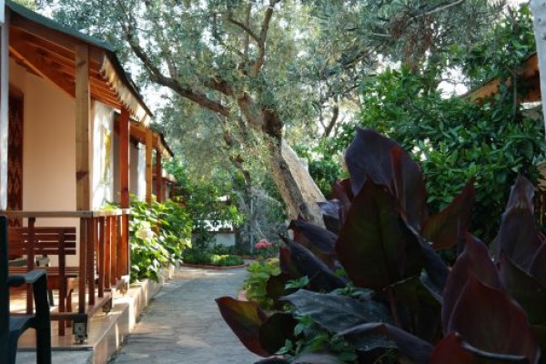 Pehlivan Motel Restaurant