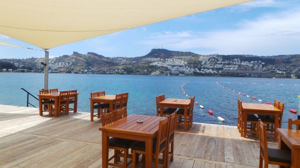 Polpo Beach Hotel