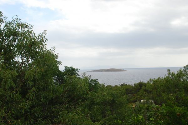 Sardunya Pansiyon