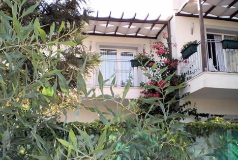 Satsuma Suites