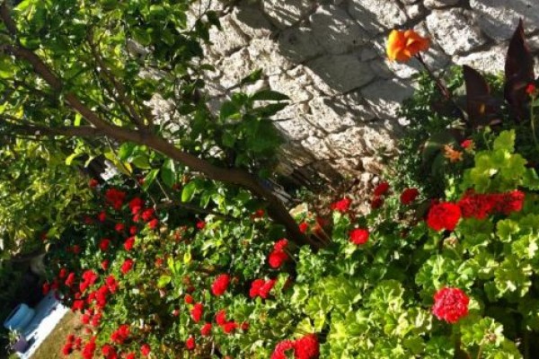 Seyir Alaçatı Butik Otel