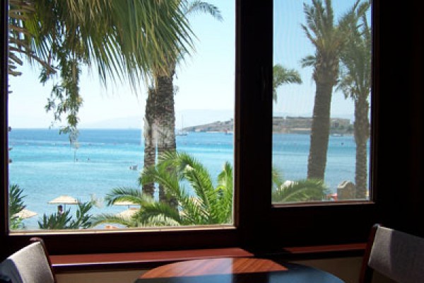 Simin Otel