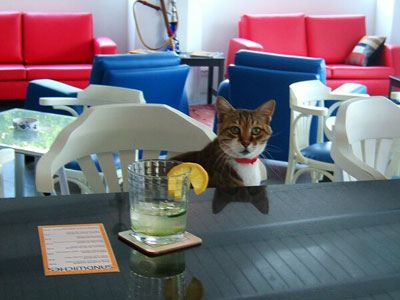 Su Hotel