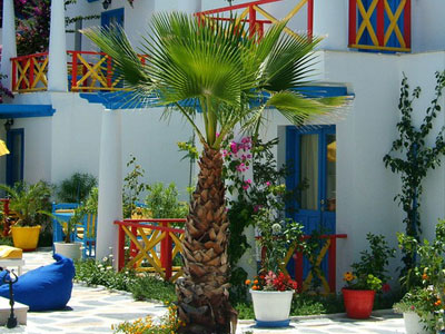 Su Hotel