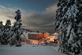 Alko&ccedil;lar Uludağ Hotel