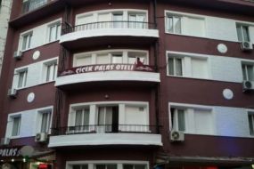 &Ccedil;i&ccedil;ek Palas Otel