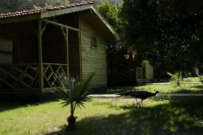 Hotel Yavuz Bungalow