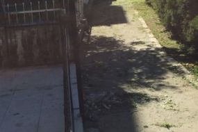 Sahil Evi ve Odalar G&uuml;m&uuml;ld&uuml;r