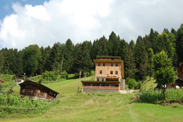 Villa de Pelit