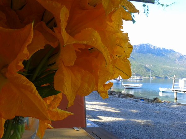 Yakamoz Tatil Evi