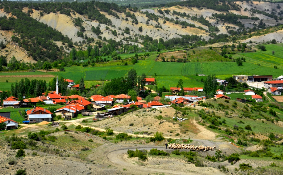 Haccağız Köyü