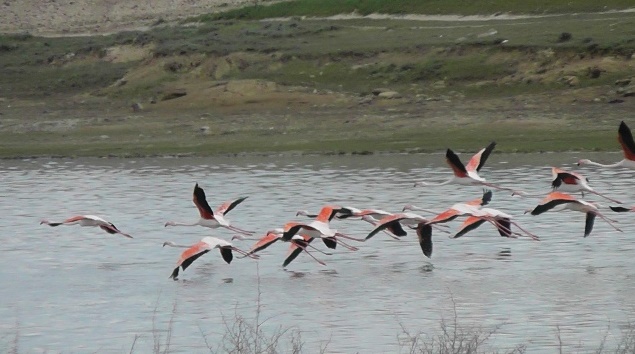 Kulu Gölü