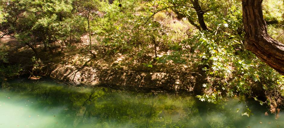 Yedi pınar gol i&ccedil;i